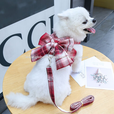 Harnais et laisses pour lapins et petits animaux de compagnie, ensemble d'accessoires bon marché, harnais en maille souple pour cobayes
