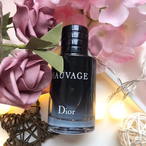 Wholesale Supplier Top Quality Dior Perfume For Men 100ml
