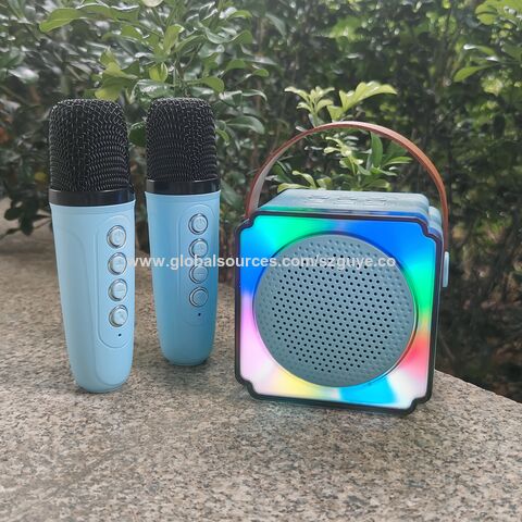 Haut-parleur karaoké portable P8 en gros, boîte de karaoké pour enfants, avec 2 mini microphones, accepte OEM et ODM