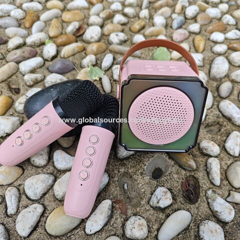 Haut-parleur karaoké portable P8 en gros, boîte de karaoké pour enfants, avec 2 mini microphones, accepte OEM et ODM