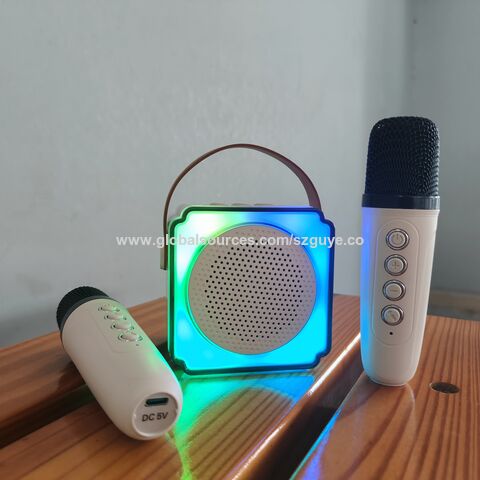 Haut-parleur karaoké portable P8 en gros, boîte de karaoké pour enfants, avec 2 mini microphones, accepte OEM et ODM