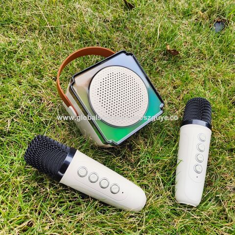 Haut-parleur karaoké portable P8 en gros, boîte de karaoké pour enfants, avec 2 mini microphones, accepte OEM et ODM