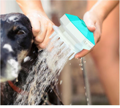 2021 Hot Sale Pet Grooming Product Dog Cleaning Eco-Friendly Pet Shower Sprayer Pet Bathing Tool supplier