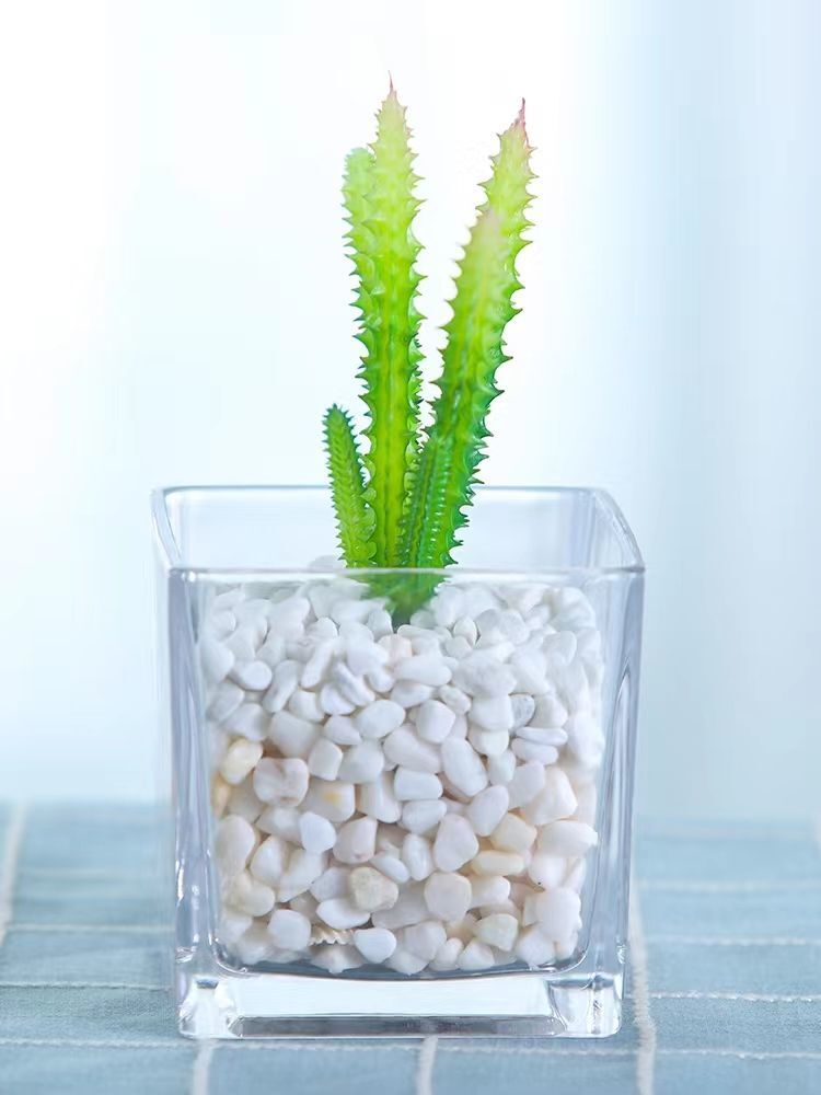 Kaufen Sie China Grohandels-Glasflaschen Glasvase Fr Knstliche Blumen  Fr Hochzeits Dekor Auerhalb Der Party Quadratisch und Vase Glasvase zu  einem Preis von $2.18 USD | Global Sources