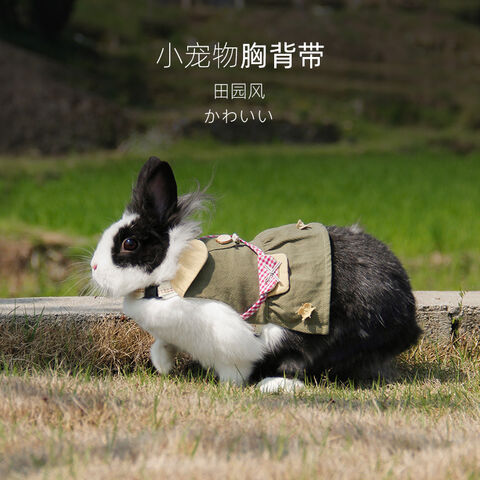 Pet Outside Clothes Warm Bunny Rabbit Clothes Small Animal Chinchilla Ferret Costume Outfits Expore China Wholesale Rabbit Clothes and Pet Clothes For Rabbits Pet Rabbit Clothes Rabbit Clothes Accesso...