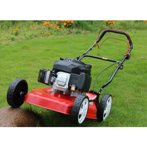 Tondeuse à Gazon, Tondeuse Manuelle à Essence avec Moteur 4 Temps pour Jardinage Professionnel