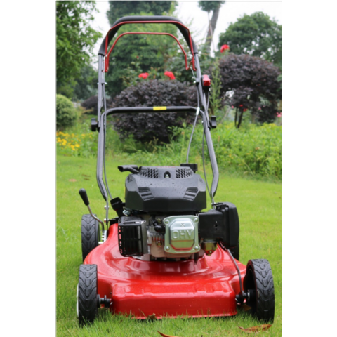 Tondeuse à Gazon, Tondeuse Manuelle à Essence avec Moteur 4 Temps pour Jardinage Professionnel