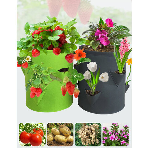 Plant Grow Bags with Handles for Strawberry, Tomato, Potato, Peanut and Other Plants