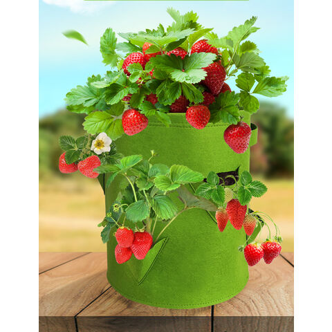 Plant Grow Bags with Handles for Strawberry, Tomato, Potato, Peanut and Other Plants