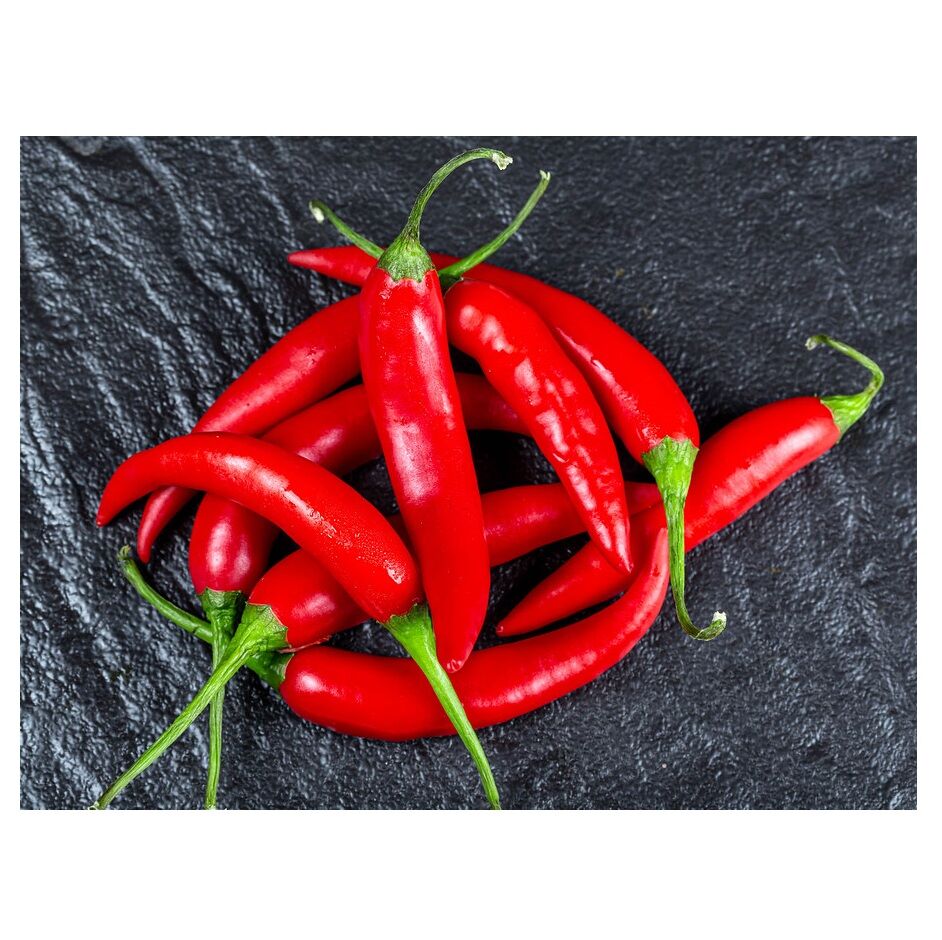 Bulk Buy South Africa Wholesale Fresh Red Chilli Pepper/ Dried Chili ...