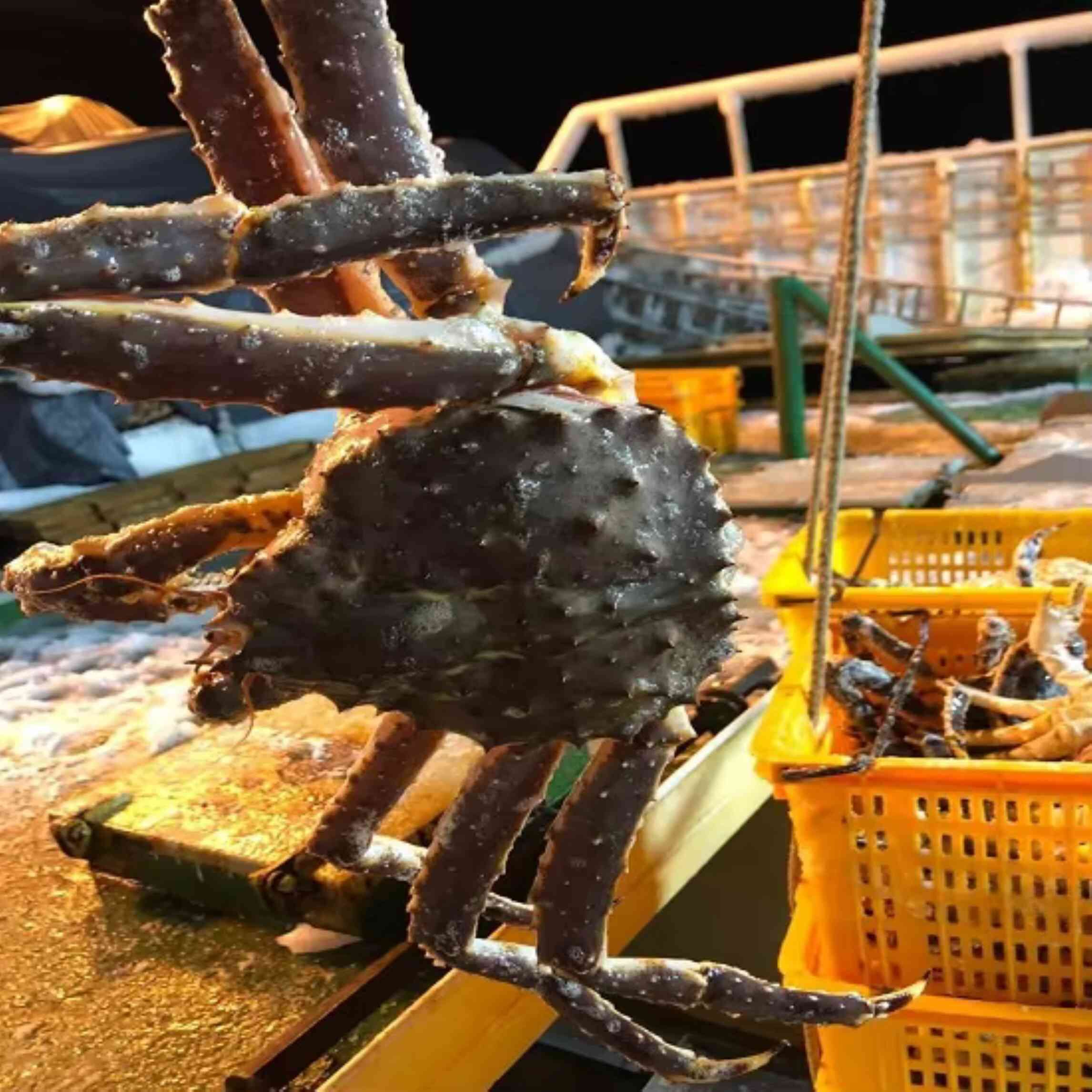 Butterfly Blue Style Live King Crab Fresh Red King Crab Fresh/frozen