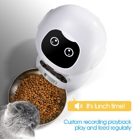 3.5L Smart Auto Timed Dog Pet Feeder Cat Automatic Food Dispenser Feeder With Stainless Bowl supplier