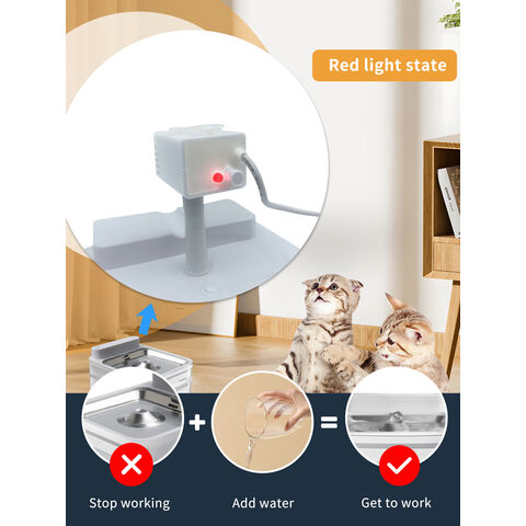 Fontaine à Eau sans Fil Rechargeable pour Chat en Acier Inoxydable 304, 3L/105oz, Distributeur d'Eau Automatique pour Animaux avec Grand Capteur et Pompe Silencieuse