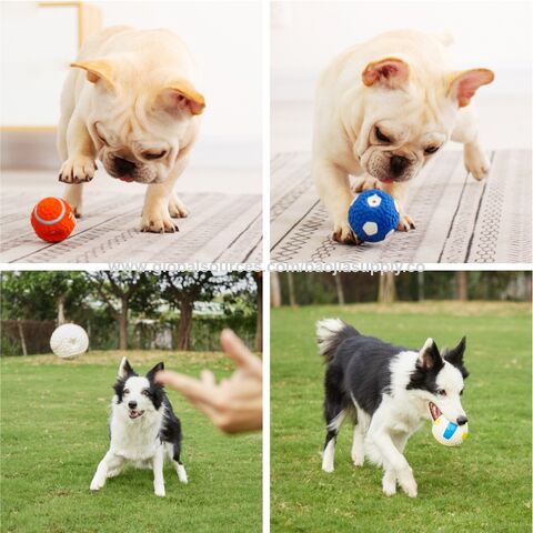 Juguete para perros, pelota de rugby de látex, pelota de tenis, juguete para morder con sonido