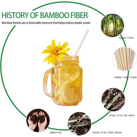 Canudos Descartáveis, 100 unidades de 20 cm, Canudos Biodegradáveis são uma Excelente Alternativa aos Canudos de Plástico. Ideal para atacadistas e distribuidores.