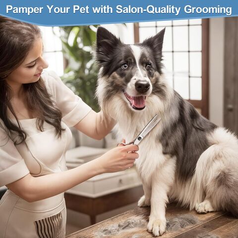 Kit de cortapelos profesional para perros, seis en uno, cortapelos de belleza tipo bala, diseñado para cortapelos duraderos para gatos y otros animales.