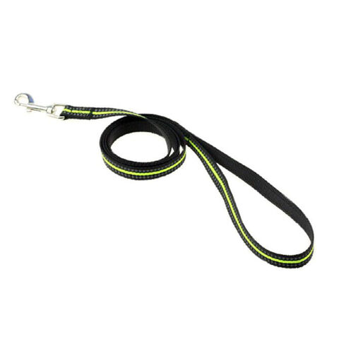 Correas reflectantes de nylon seguras para perros, 120x2.5cm, tallas S, M, L y múltiples colores. Venta al por mayor de correas para mascotas de alta visibilidad.