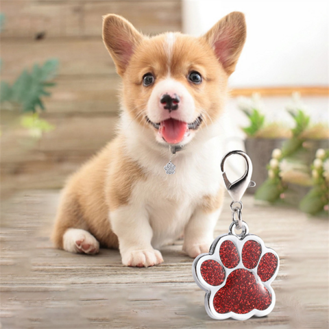 Collier Personnalisé avec Plaque d'Identification pour Animaux de Compagnie, Gravure du Nom pour Chiens, Chats et Chiots - Accessoires pour Animaux