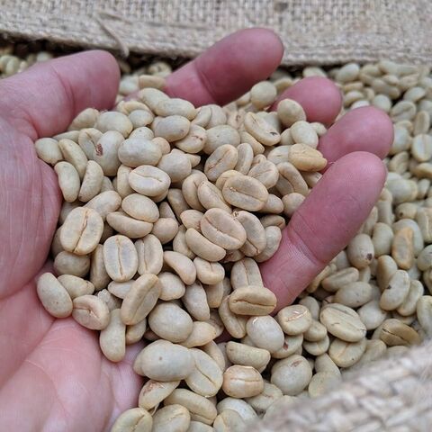 Exótico y Sabroso | Café en Grano Arábica (Coffea Arabica) Grano Entero | Los Mejores Granos de Café Tostados Online