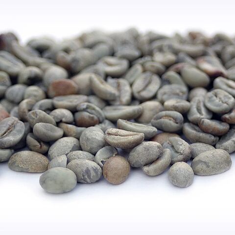 Exótico y Sabroso | Café en Grano Arábica (Coffea Arabica) Grano Entero | Los Mejores Granos de Café Tostados Online