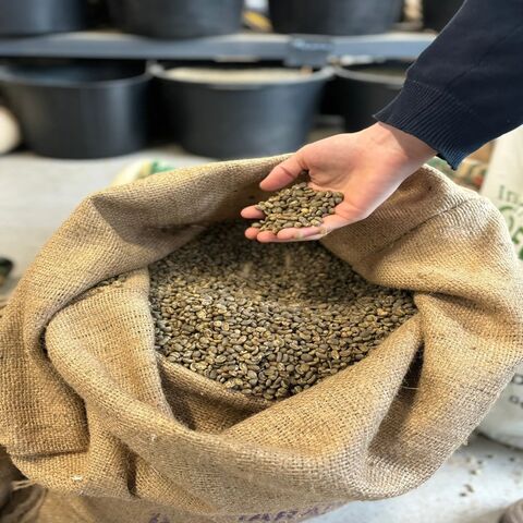 Exótico y Sabroso | Café en Grano Arábica (Coffea Arabica) Grano Entero | Los Mejores Granos de Café Tostados Online