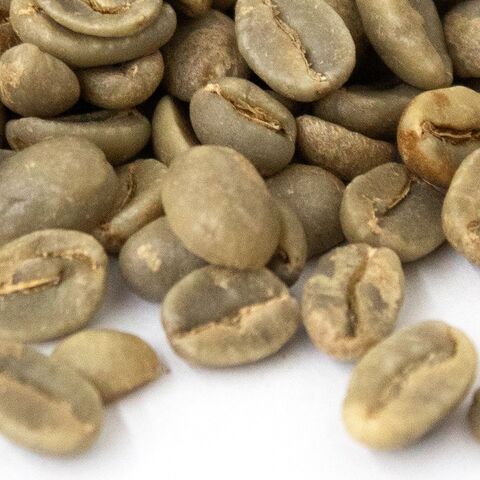 Exótico y Sabroso | Café en Grano Arábica (Coffea Arabica) Grano Entero | Los Mejores Granos de Café Tostados Online
