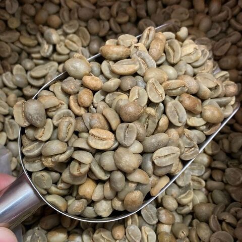 Exótico y Sabroso | Café en Grano Arábica (Coffea Arabica) Grano Entero | Los Mejores Granos de Café Tostados Online