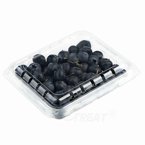 Großhandel Neue biologisch abbaubare Einweg-PET-Frucht-Clamshells, Kunststoff-Punnets für Früchte, 125g Blaubeerbox