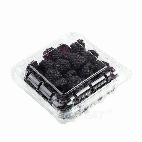 Großhandel Neue biologisch abbaubare Einweg-PET-Frucht-Clamshells, Kunststoff-Punnets für Früchte, 125g Blaubeerbox