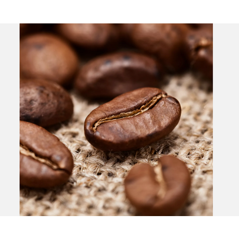 Grãos de café por atacado