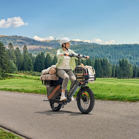 Vélo Cargo Électrique avec Capteur de Couple, Freins Hydrauliques, 48V 38.4AH 250W - E-Bike Cargo pour Professionnels