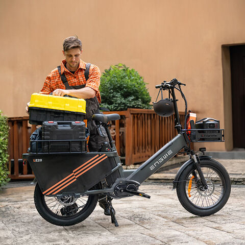 Vélo Cargo Électrique avec Capteur de Couple, Freins Hydrauliques, 48V 38.4AH 250W - E-Bike Cargo pour Professionnels