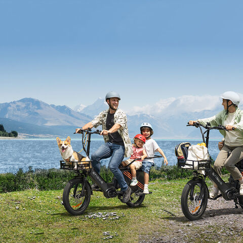 Vélo Cargo Électrique avec Capteur de Couple, Freins Hydrauliques, 48V 38.4AH 250W - E-Bike Cargo pour Professionnels