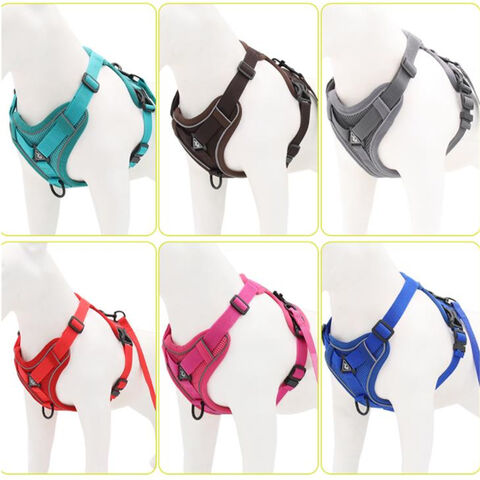 Nuevos productos para mascotas: Cómoda correa para perros, transpirable, colorida, para pasear perros, arnés para mascotas.