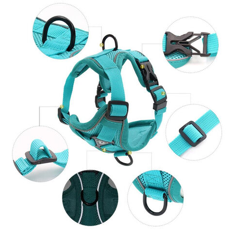 Nuevos productos para mascotas: Cómoda correa para perros, transpirable, colorida, para pasear perros, arnés para mascotas.