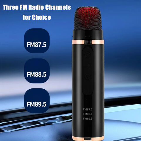 Großhandel OEM ODM Wireless Bluetooth Autoradio Stereo Mikrofon Tragbares Karaoke-Mikrofon für Auto