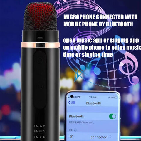 Großhandel OEM ODM Wireless Bluetooth Autoradio Stereo Mikrofon Tragbares Karaoke-Mikrofon für Auto