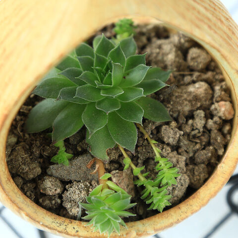 Suporte de ferro para vasos de flores suspensos, decoração de jardim interior e exterior para plantas em cestos suspensos