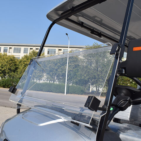 Carro de golf eléctrico 2 pasajeros Golf Buggy de alta calidad Motor personalizado Controlador de batería de ácido Plomo Color Typ