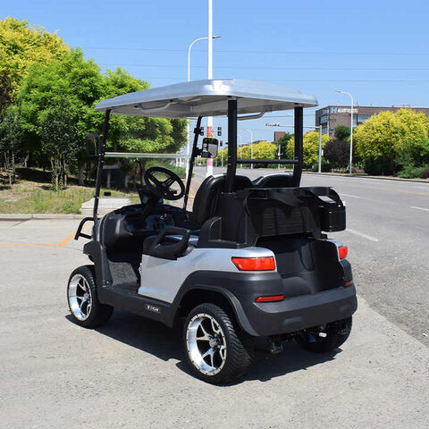 Carro de golf eléctrico 2 pasajeros Golf Buggy de alta calidad Motor personalizado Controlador de batería de ácido Plomo Color Typ