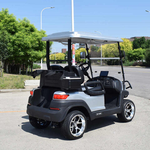 Carro de golf eléctrico 2 pasajeros Golf Buggy de alta calidad Motor personalizado Controlador de batería de ácido Plomo Color Typ