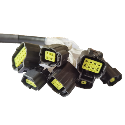 Fabricante de Cables DTM DT04-2P DT06-2S para Automoción