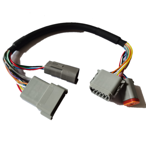 Fabricante de Cables DTM DT04-2P DT06-2S para Automoción