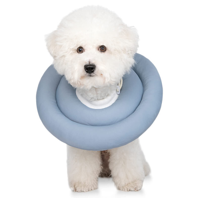 Dog Collar Cone Alternative Dog Cone Alternative Front Leg Friends