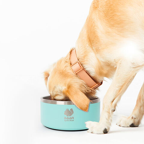 Bol pour Chien Personnalisé avec Logo, Idéal pour les Voyages en Plein Air, Facile à Transporter, Grande Capacité, Antidérapant, Acier Inoxydable à Double Paroi, 18oz 32oz 64oz