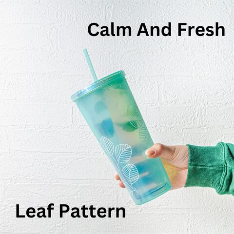 Vaso de plástico reutilizable de doble pared de 24 oz con tapa y pajita - Taza de viaje para bebidas
