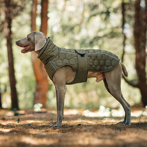 Chalecos para Mascotas Estilo Invierno y Otoño, Acolchados para Mayor Calidez, Suministros para Perros de Exterior, Chalecos Minimalistas de Color Sólido al por Mayor
