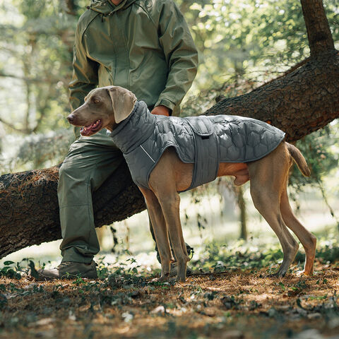 Chalecos para Mascotas Estilo Invierno y Otoño, Acolchados para Mayor Calidez, Suministros para Perros de Exterior, Chalecos Minimalistas de Color Sólido al por Mayor