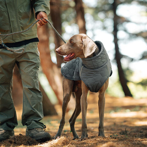 Chalecos para Mascotas Estilo Invierno y Otoño, Acolchados para Mayor Calidez, Suministros para Perros de Exterior, Chalecos Minimalistas de Color Sólido al por Mayor