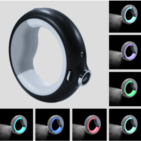 Nouveauté 2022 : Laisse robuste pour grands chiens, idéale pour la promenade, avec lumière LED nocturne. Offre spéciale !